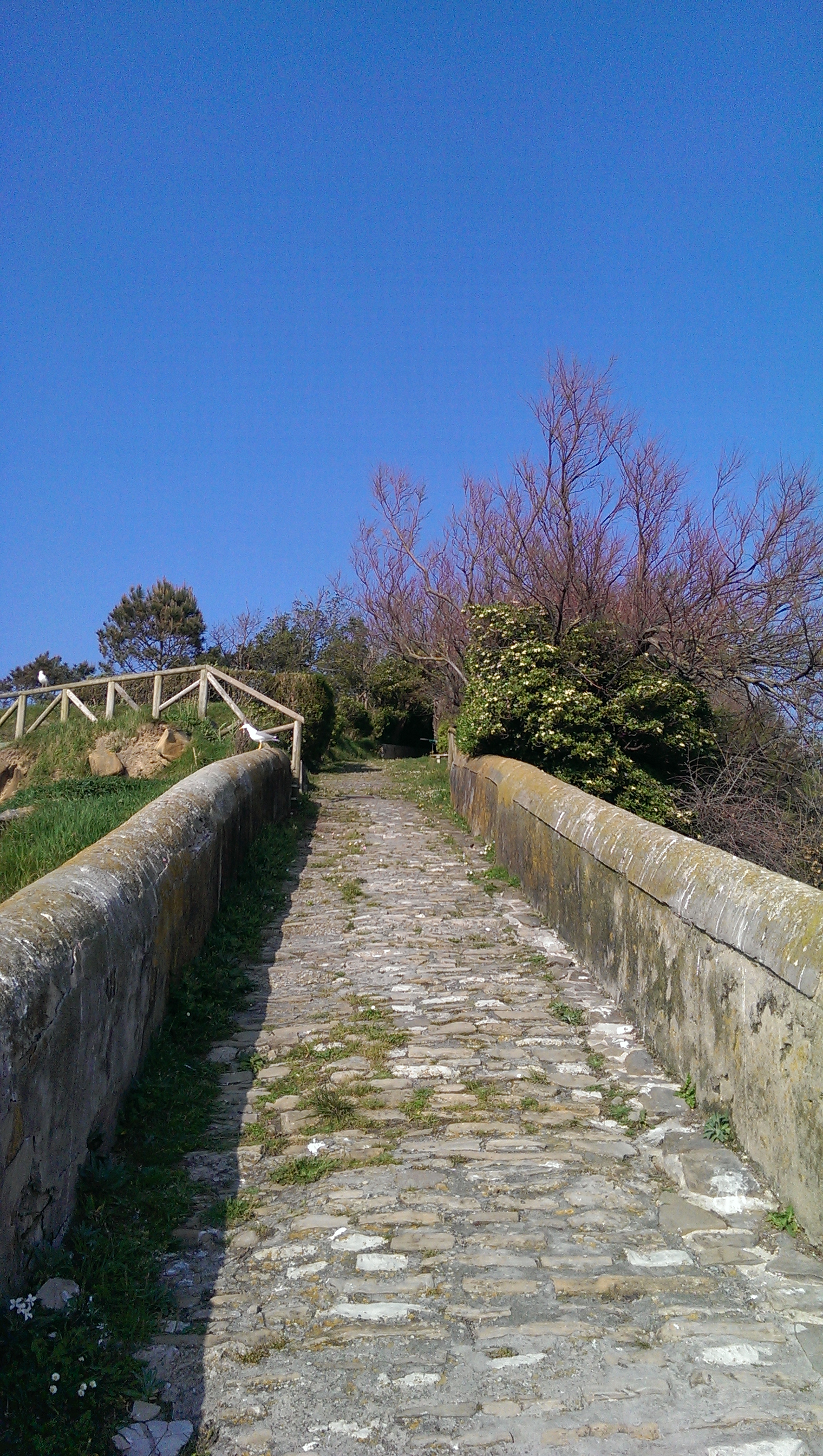 wp-1397635465361 image