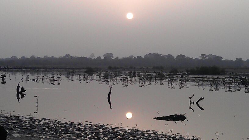 wp-1397635502038 image