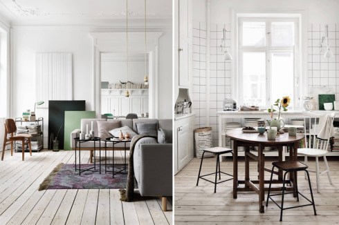 Petra-Bindel-Photos2