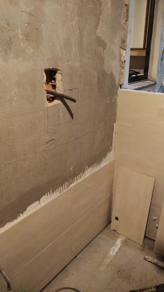 IMG_20150706_102222 (1)