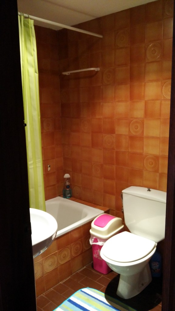 IMG_20150817_085629_HDR